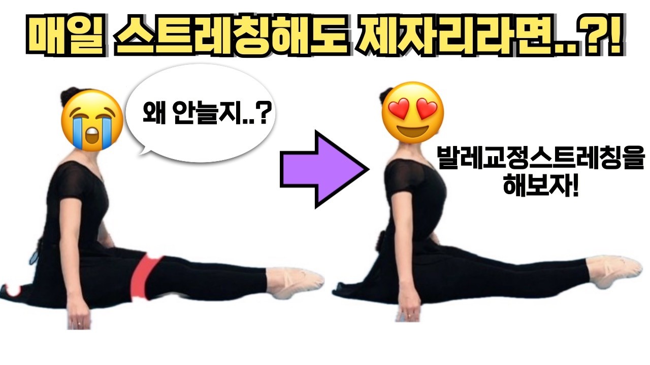 발레와 스트레칭 잘하고 싶다면 꼭 봐야할 영상ㅣ발레스트레칭책소개ㅣ체형교정, 자세교정 for 취미발레