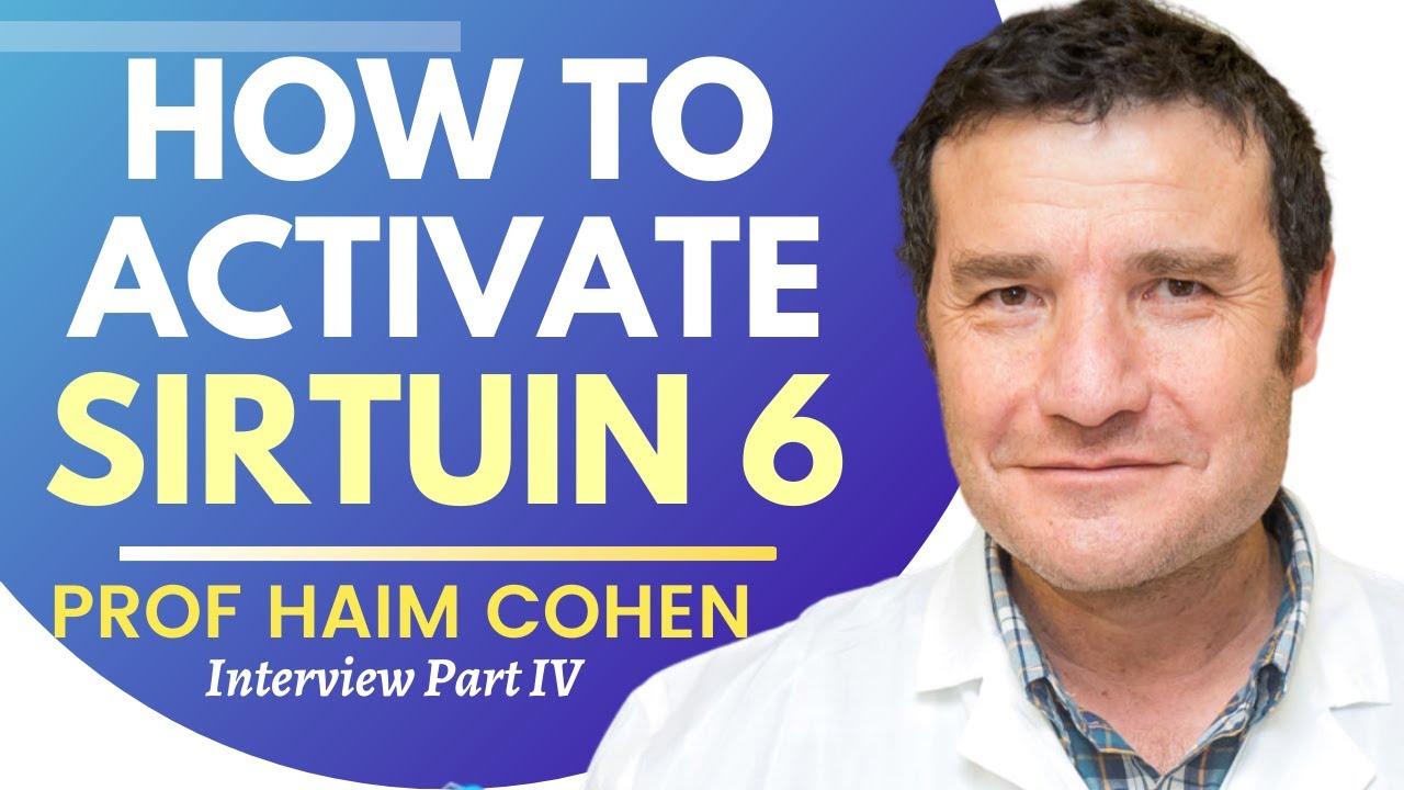 How To Activate Sirtuin 6 | Prof Haim Cohen Ep 4