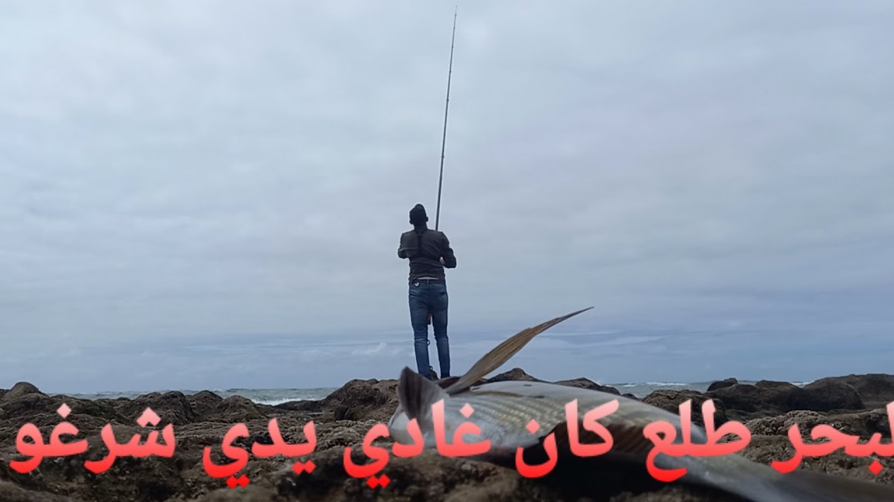 لبحر 🌊 طلع على لحفرة اللي كنت حاط فيها لحوت 🐟🐟🐟 شوية ويمشي .... 😇 من طرائف البحر 😂