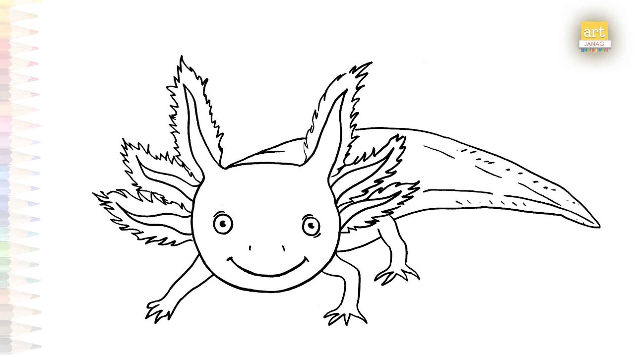 Axolotl drawings simply | Outline sketches | How to draw an Axolotl step by step | #artjanag