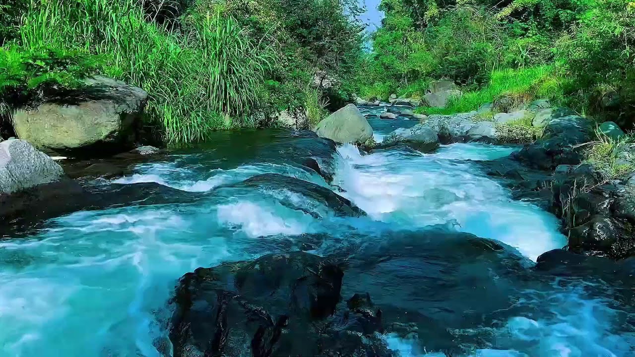Mountain Stream Water Flow Audio, Forest River, Sleep
