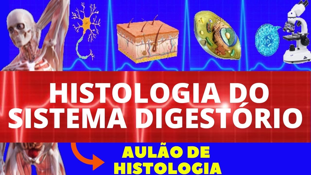 HISTOLOGIA DO SISTEMA DIGEST&Oacute;RIO (ENSINO SUPERIOR) - SISTEMA DIGESTIVO - HISTOLOGIA DIGESTIVA