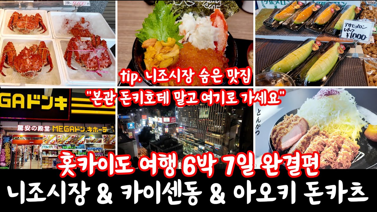 [홋카이도 브이로그 마지막편] 니조시장 카이센동부터 돈키호테 쇼핑, 관람차 그리고 숨은 맛집! 6박 7일 여정의 완벽한 마무리