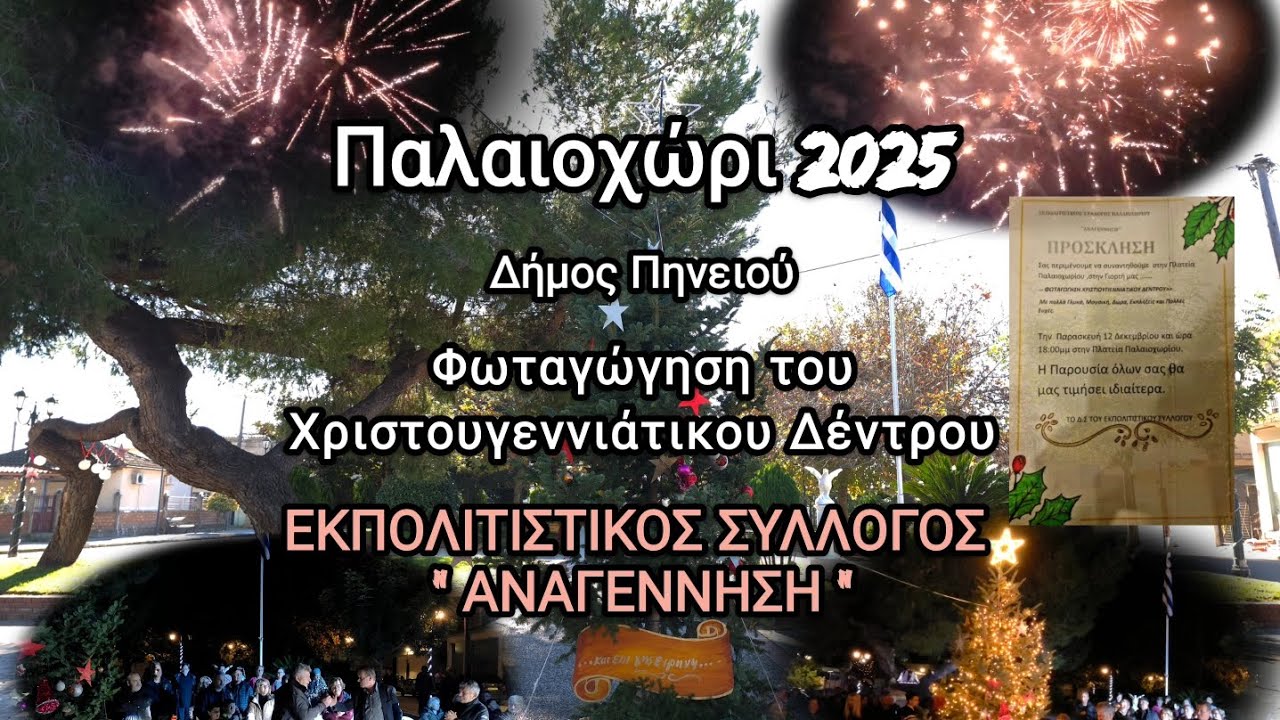 Φωταγώγηση Χριστουγεννιάτικου Δέντρου _ Παλαιοχώρι 