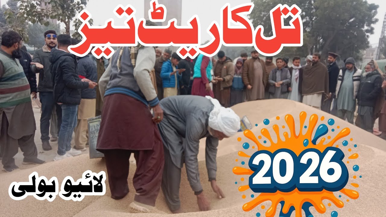 Til Rate Boom Today! | Sesame Price Pakistan | Till rate today