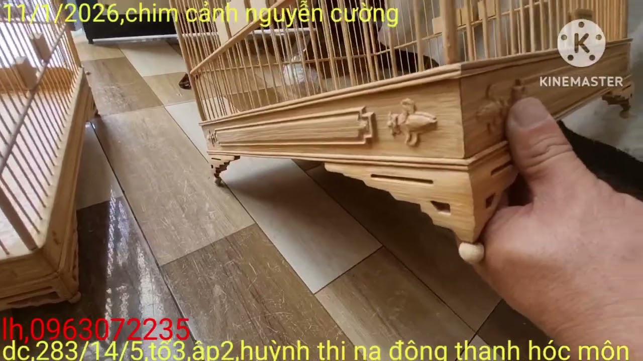 Tặng hoc đựng chim,lồng Chào mào tre đẹp 650k