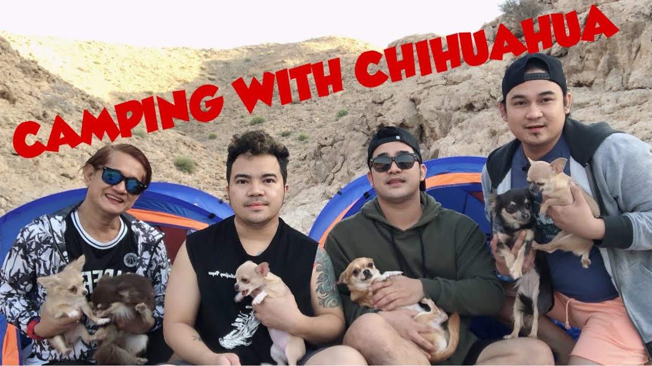 CAMPING WITH CHIHUAHUA | WE SLEPT ON A CAVE AT BANDAR AL KAIRAN vlog#6