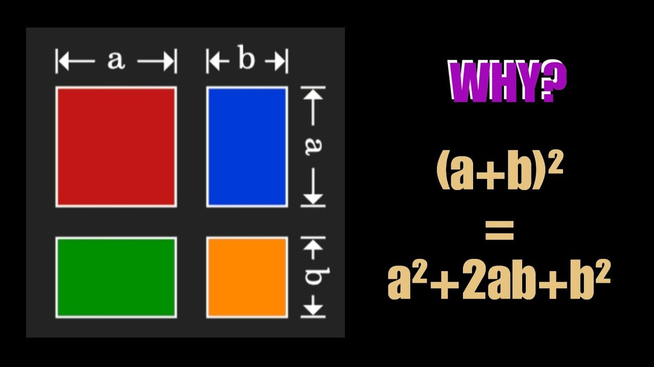 Why (a+b)² = a² + 2ab + b² | Algebraic Identity |  Why a + b whole square equal to a² + 2ab + b²