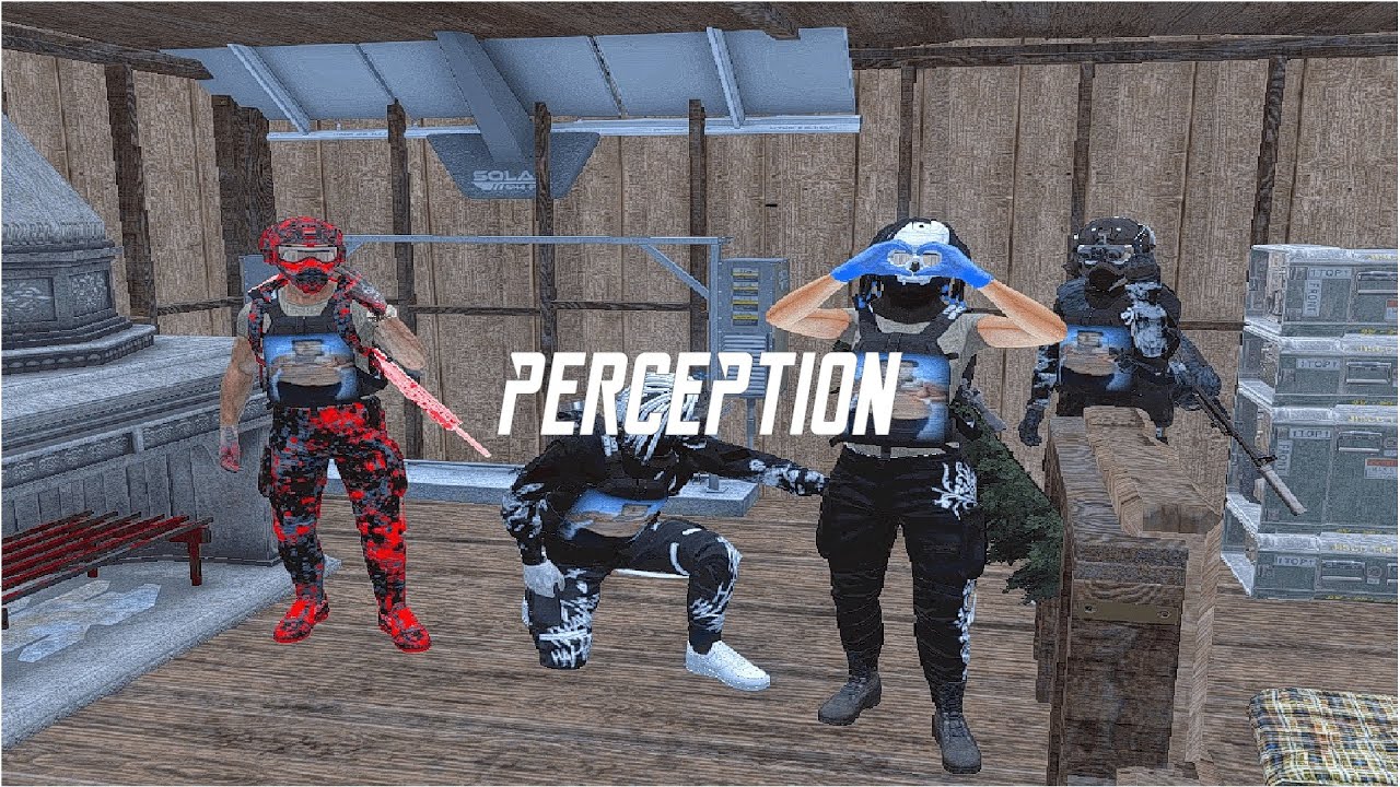 Kawasaki DayZ Montage The Perception #5