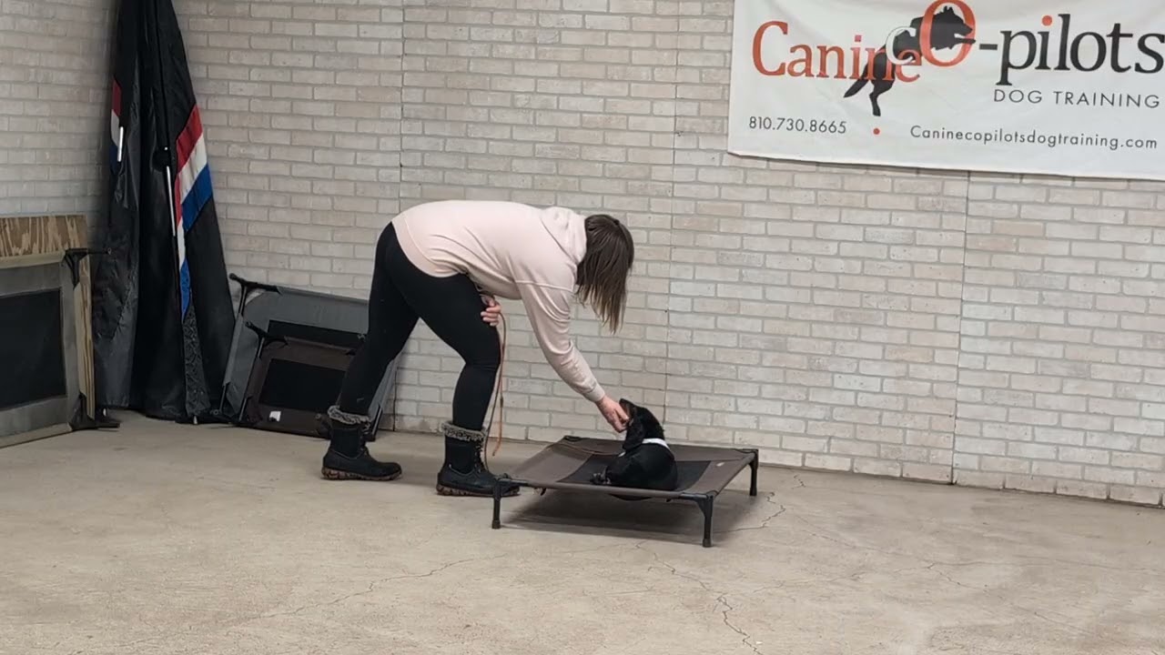 Training with Ollie 