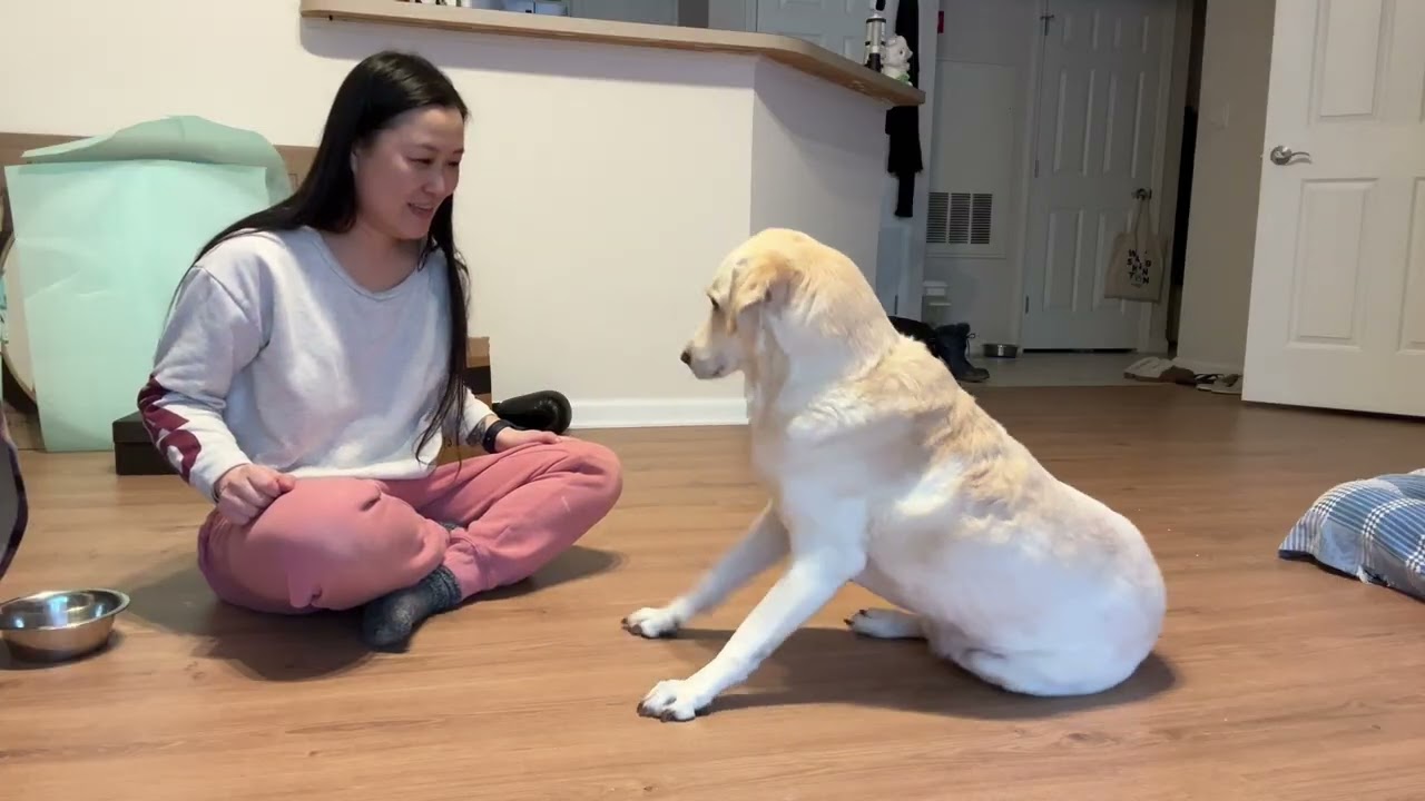 毛片