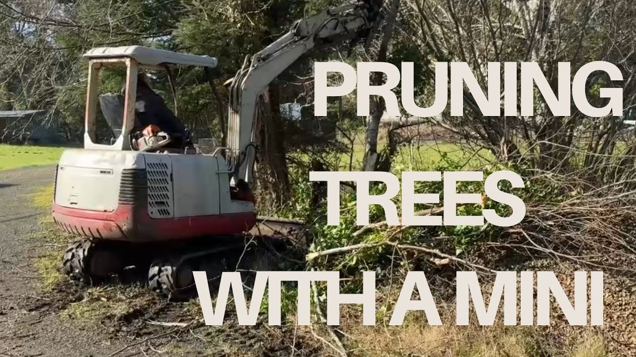 This Mini Excavator Makes Brush Clearing Look Easy