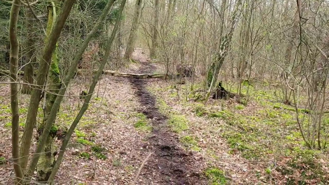 Dance Monkey~horse music video🐎🙈