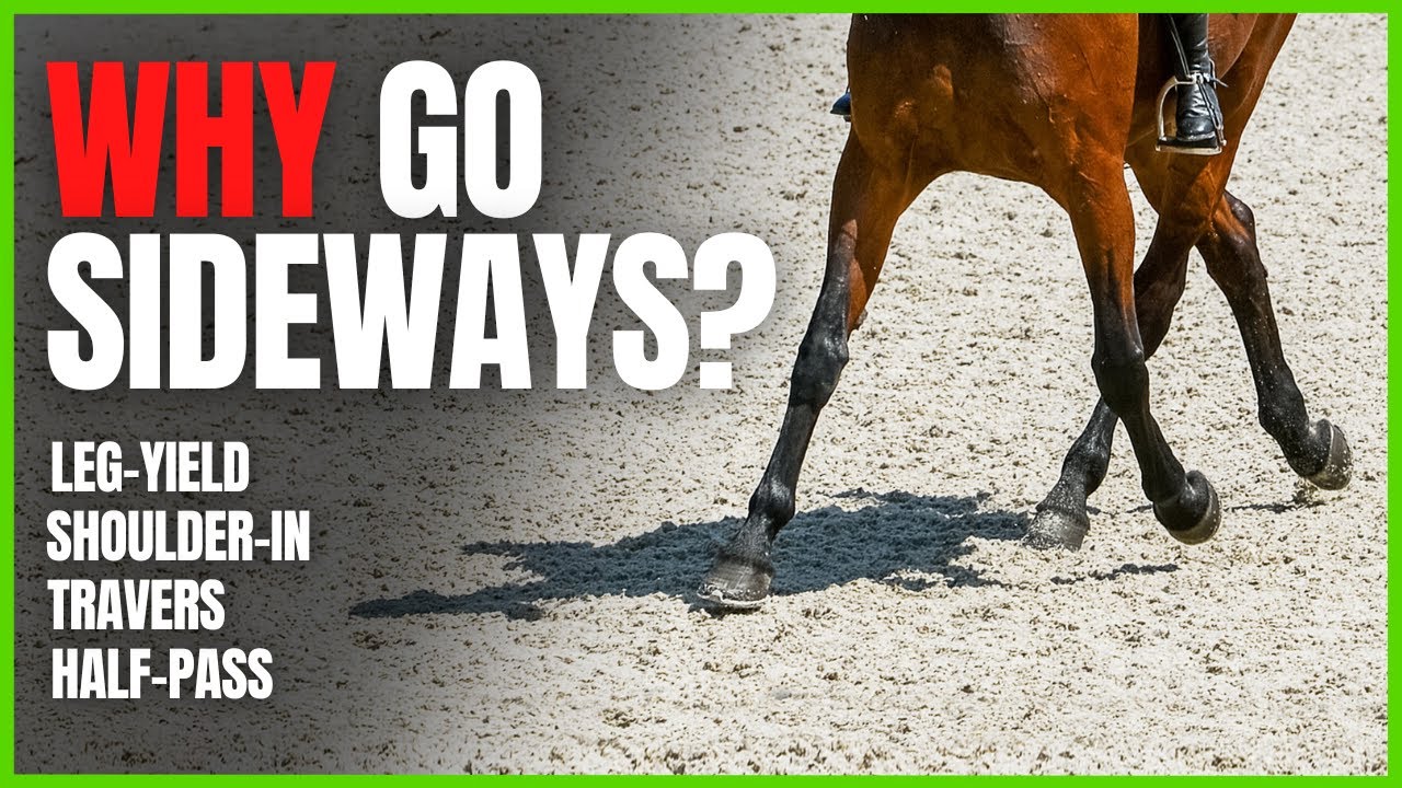 Why TEACH Your Horse LATERAL MOVEMENTS? from The Complete Online Dressage Course | How To Dressage