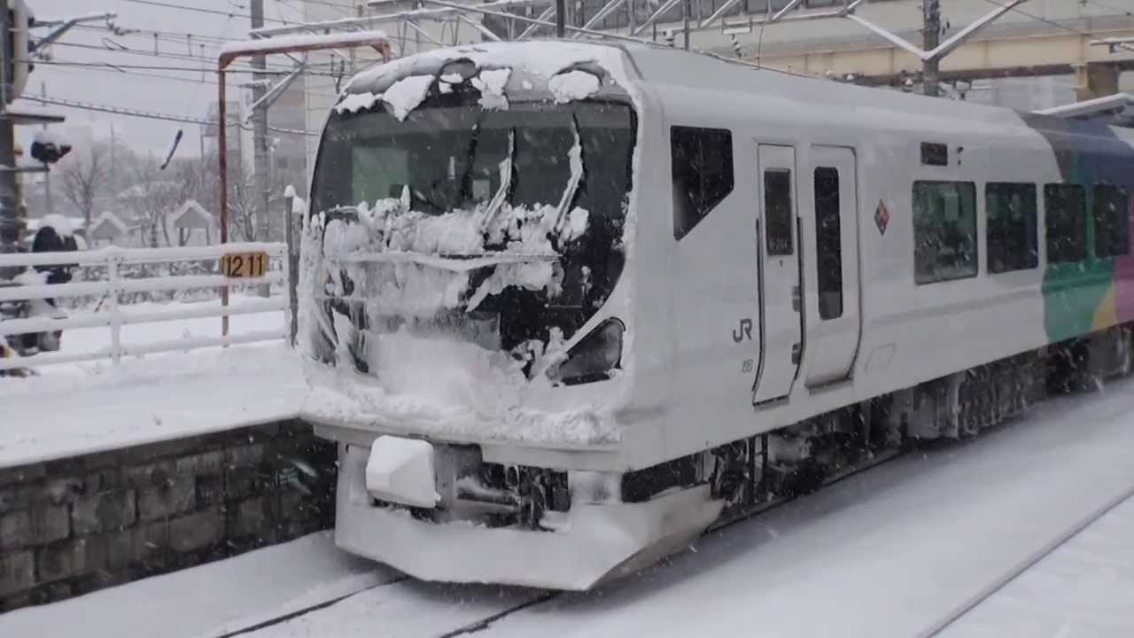 【2014.2.8　２３区大雪警報発令の中　首都圏からきた着雪あずさ３連発】