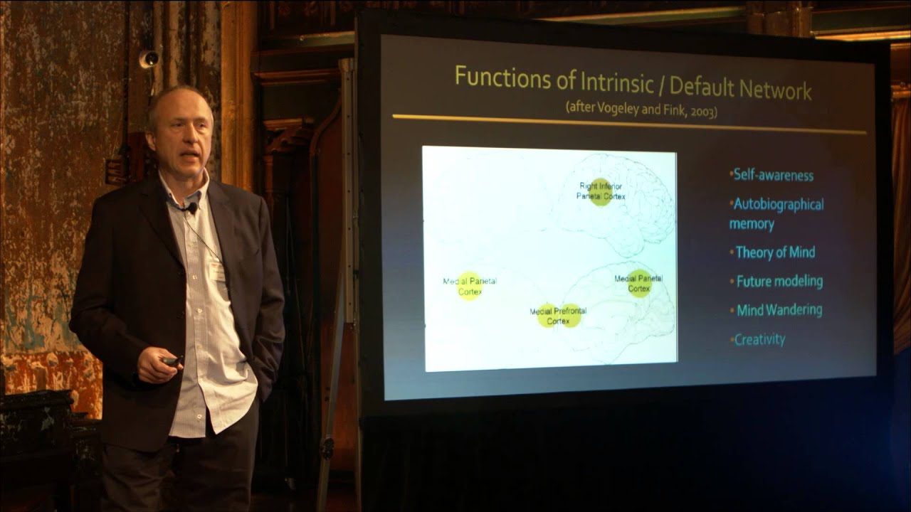 The brain is wired for unity: Zoran Josipovic at TEDxLowerEastSide