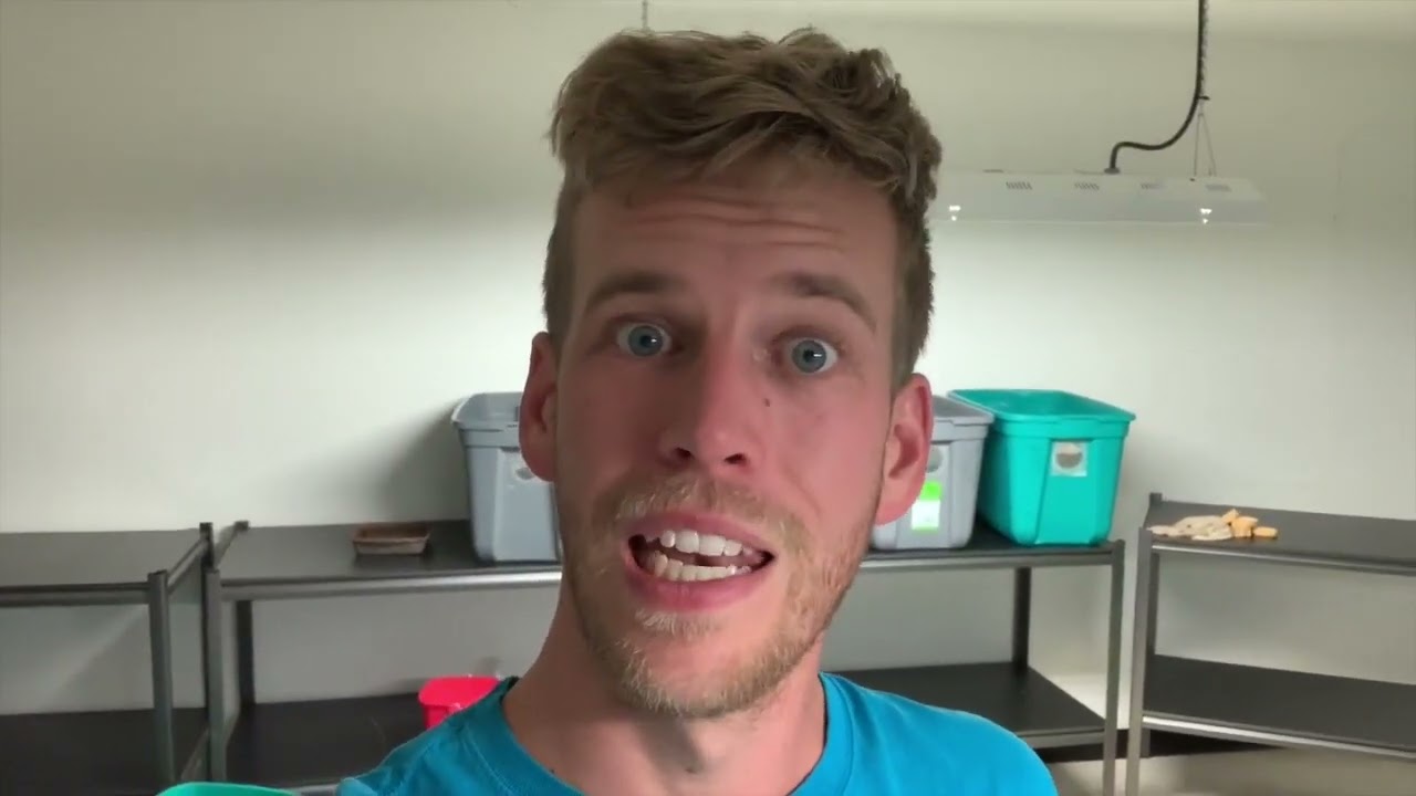 5 Biggest Cricket Farming Mistakes How to Farm Crickets