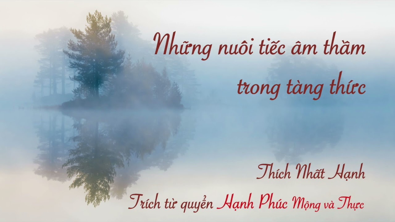 Những nuối tiếc âm thầm trong tàng thức - Thích Nhất Hạnh - Trích từ quyển Hạnh Phúc Mộng và Thực