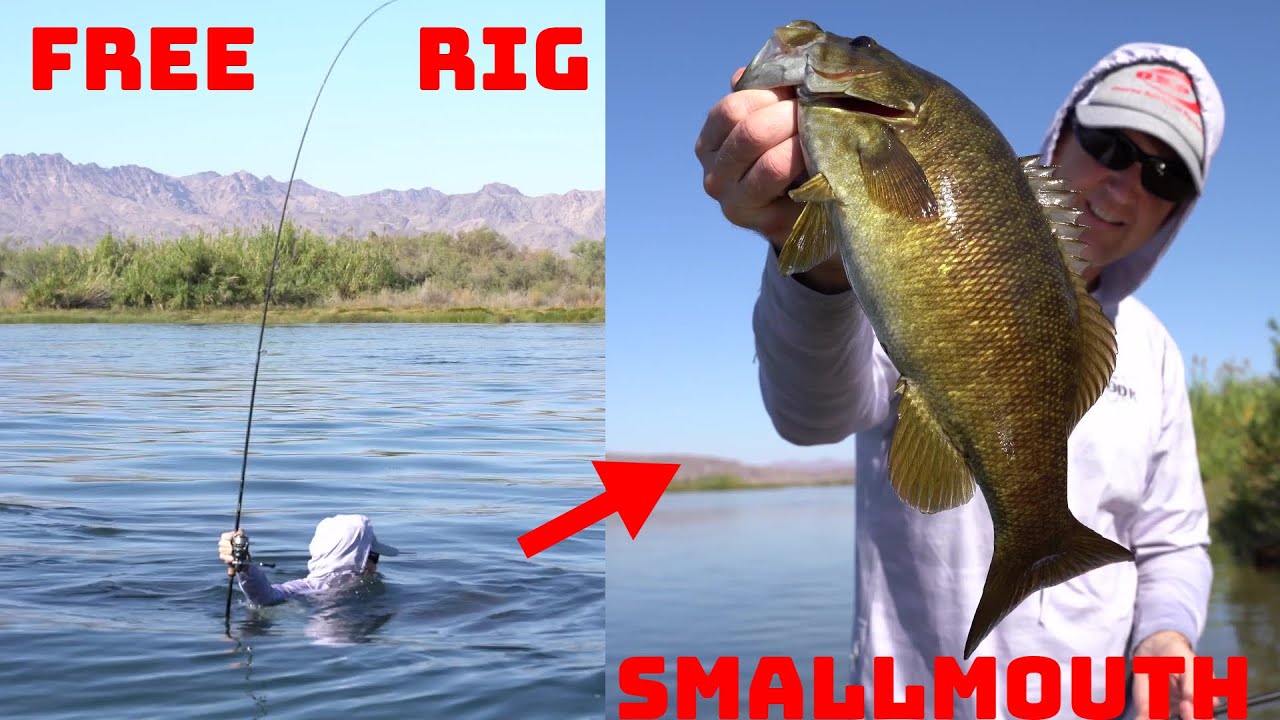 Going All In For Clear Water River Smallmouth! Fishing The Free Rig!