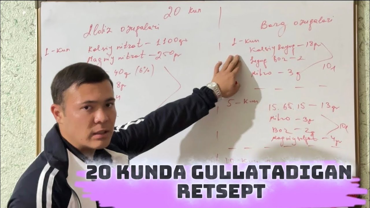 20 kunda gullatadigan retsept 