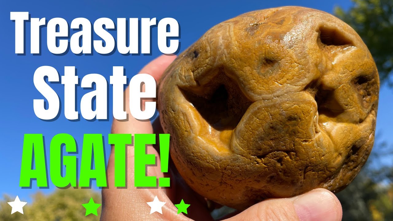 HUGE Treasure State AGATE: Super-sized  Fortification Agate