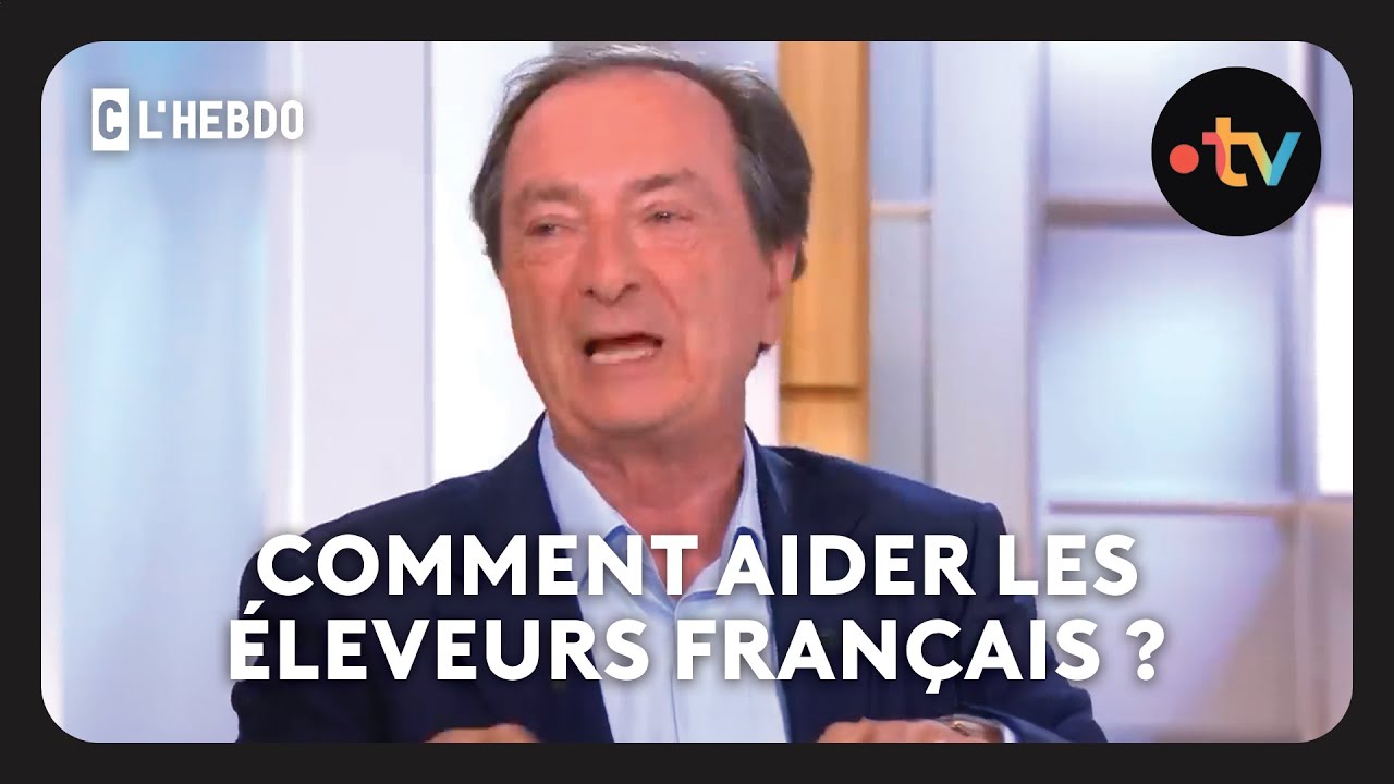 crise de la dermatose : les éleveurs français en danger
