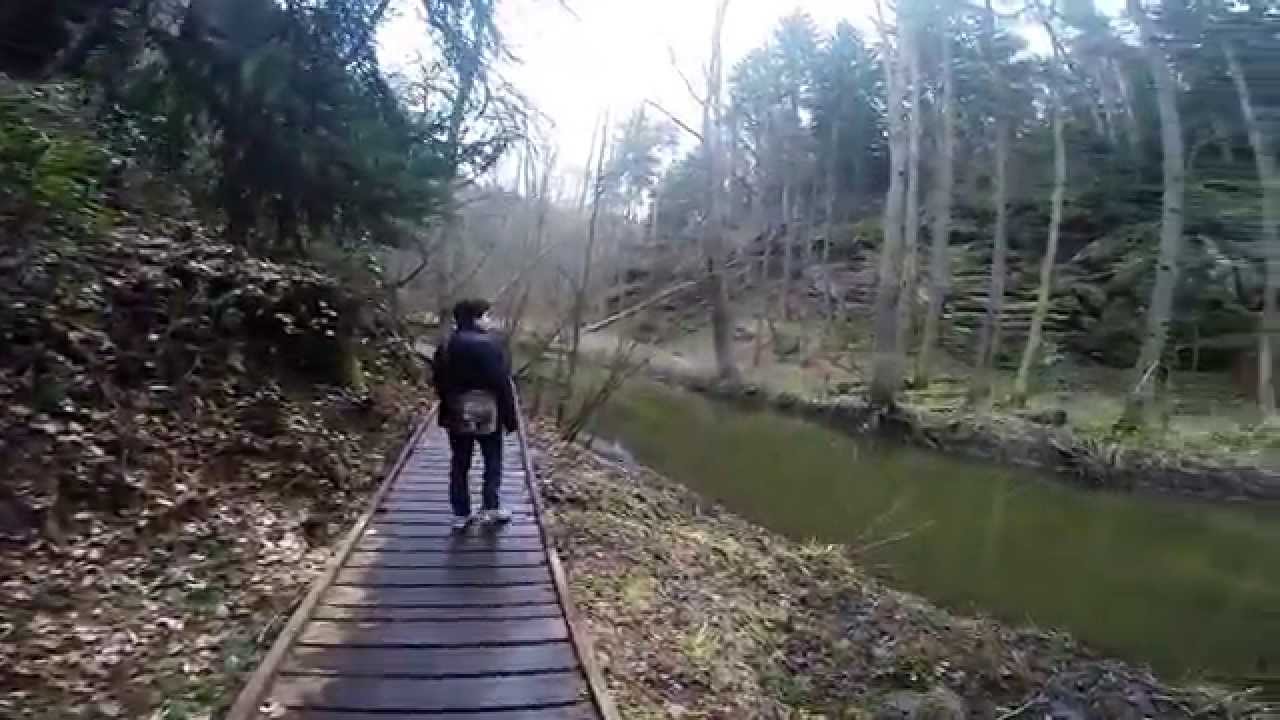 Národní přírodní památka Peklo | Česká Lípa-Dubice | rybník Holany | GoPro | 2015 | HD |