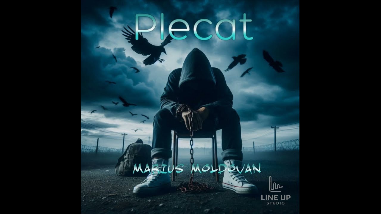 Marius Moldovan - Plecat