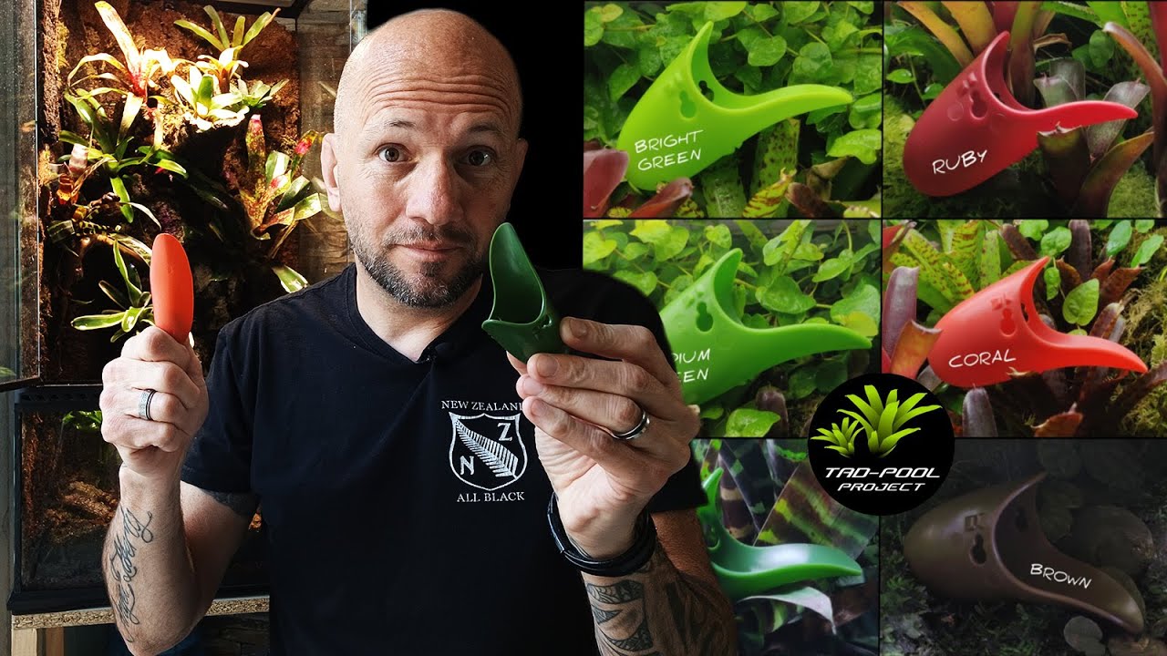 L'accessoire Décoratif Indispensable pour Dendrobates et Reptiles !