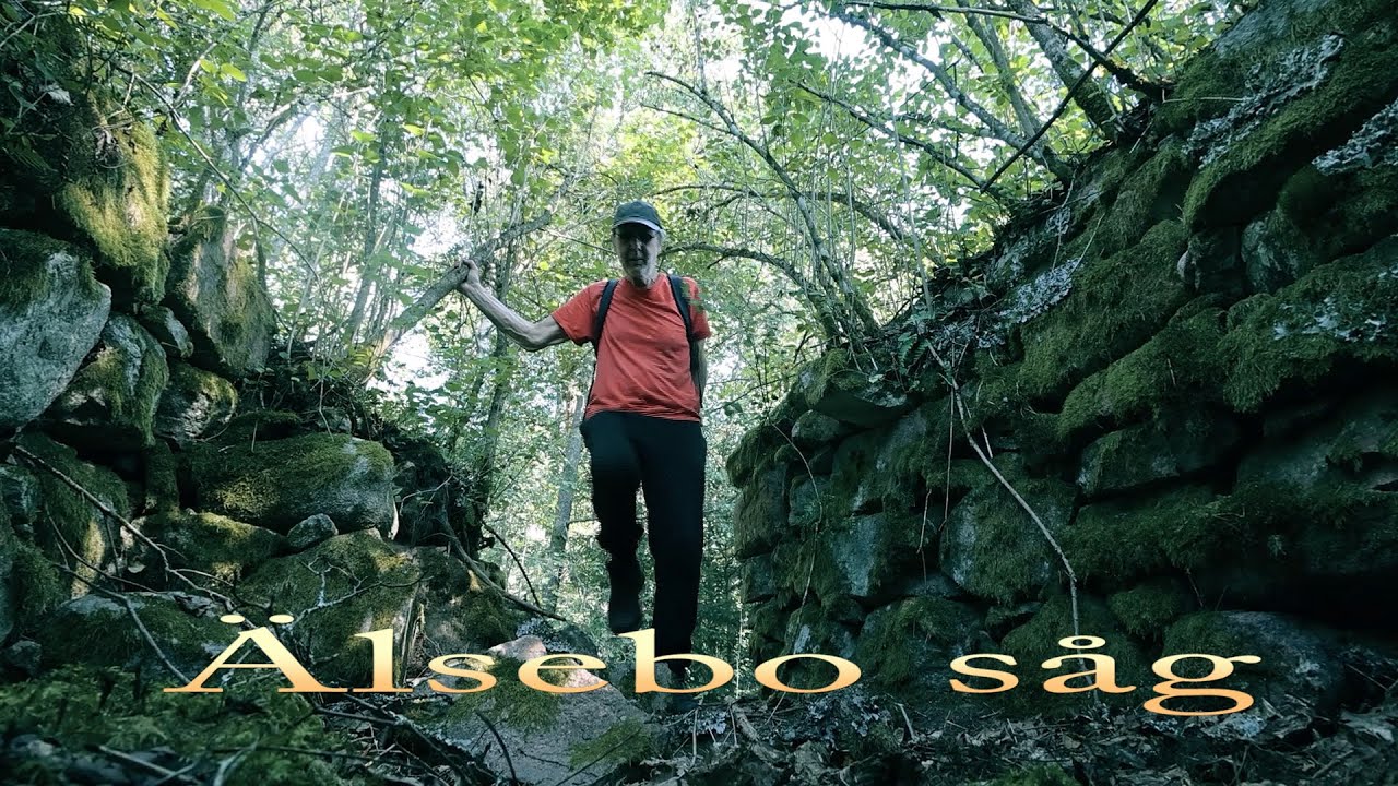 Älsebo såg
