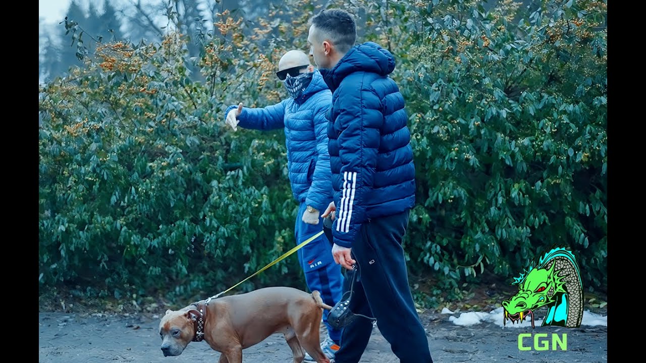 CGN  X PABLO - BRACIAK NA BLOKACH