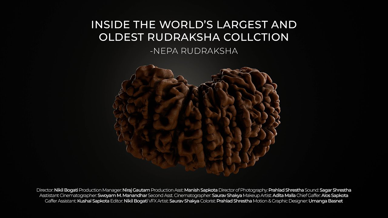 Inside The World's Largest and Oldest Rudraksha Collection - Nepa Rudraksha #neparudraksha