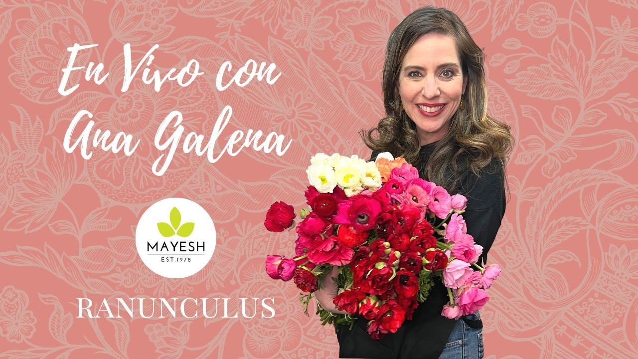 Ranúnculus, la flor de la temporada - En Vivo con Ana Galena