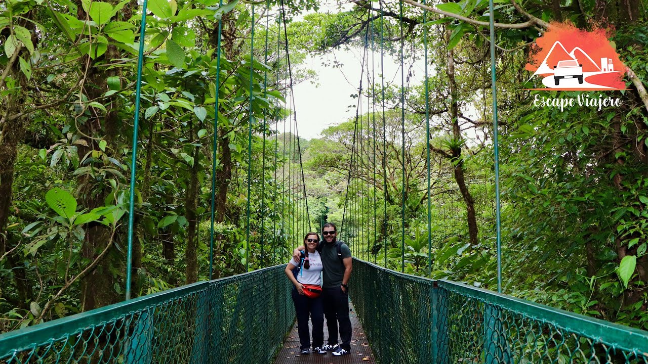 Puentes Colgantes - Monteverde - Santa Elena - Costa Rica - Selvatura