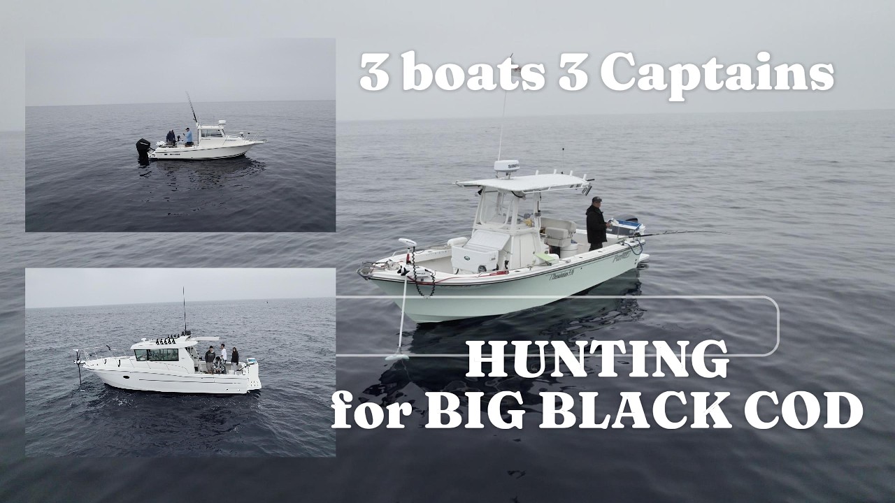 3 Boats, 1 Mission: Hunting Big Black Cod in 1,354 FT