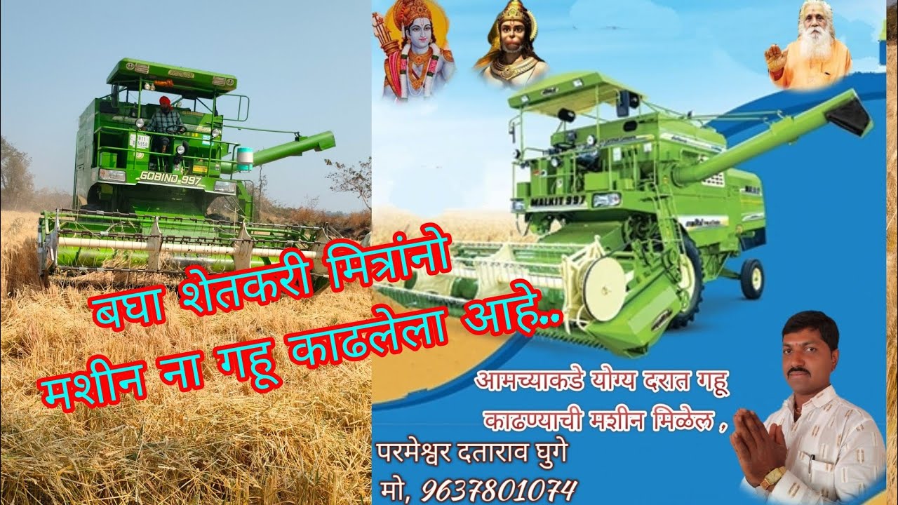 बघा शेतकरी मित्रांनो मशीन ना गहू काढलेला आहे.#शेतकरी #youtubeshorts #youtubevideo #viral 