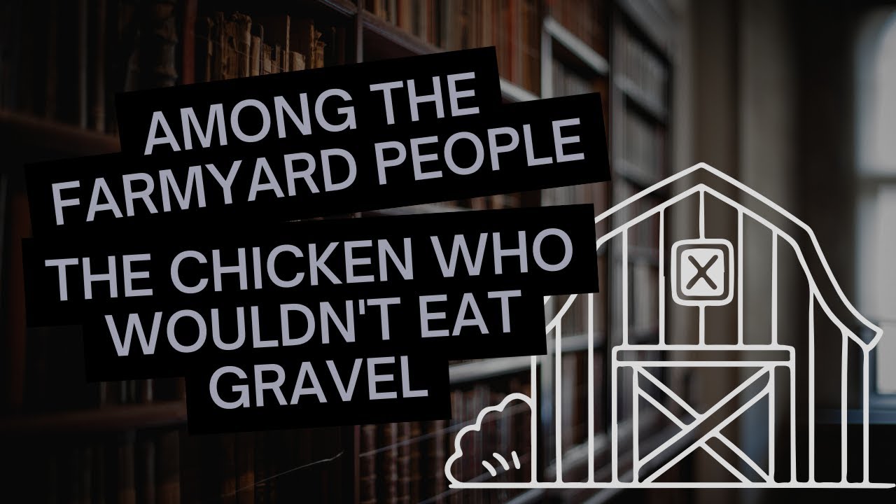 Among the Farmyard People - part 11: The Chicken Who Wouldn't Eat Gravel | The Enchanted Library