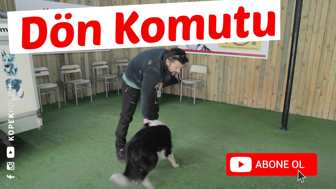 Dön Komutu