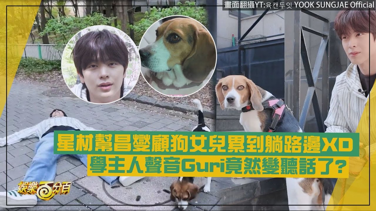 【BTOB】星材幫昌燮顧狗女兒累到躺路邊XD 學主人語調命令Guri竟然變聽話了?!