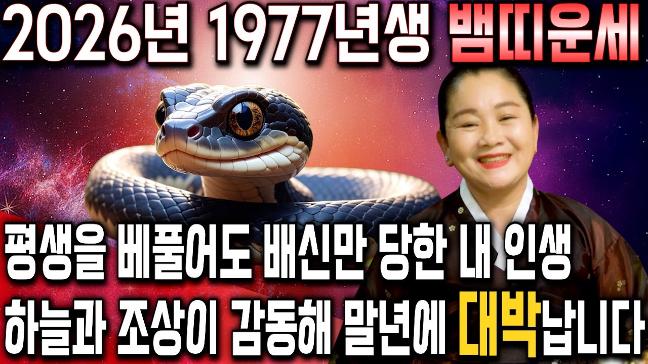 뱀띠 고생했다..!! 2026년 병오년 1977년생 50세 뱀띠운세 배신당했던 모든날을 보답받습니다! 77년생 뱀띠의 운명과 신년운세 / 2026년 대박나는 50세 뱀띠 운세