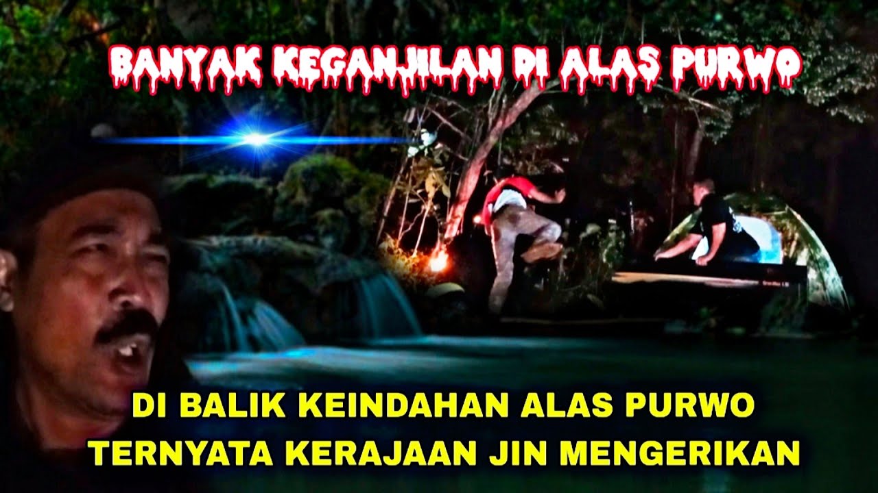 CAMPING HOROR: Jadi bulan bulanan penunggu ALAS PURWO