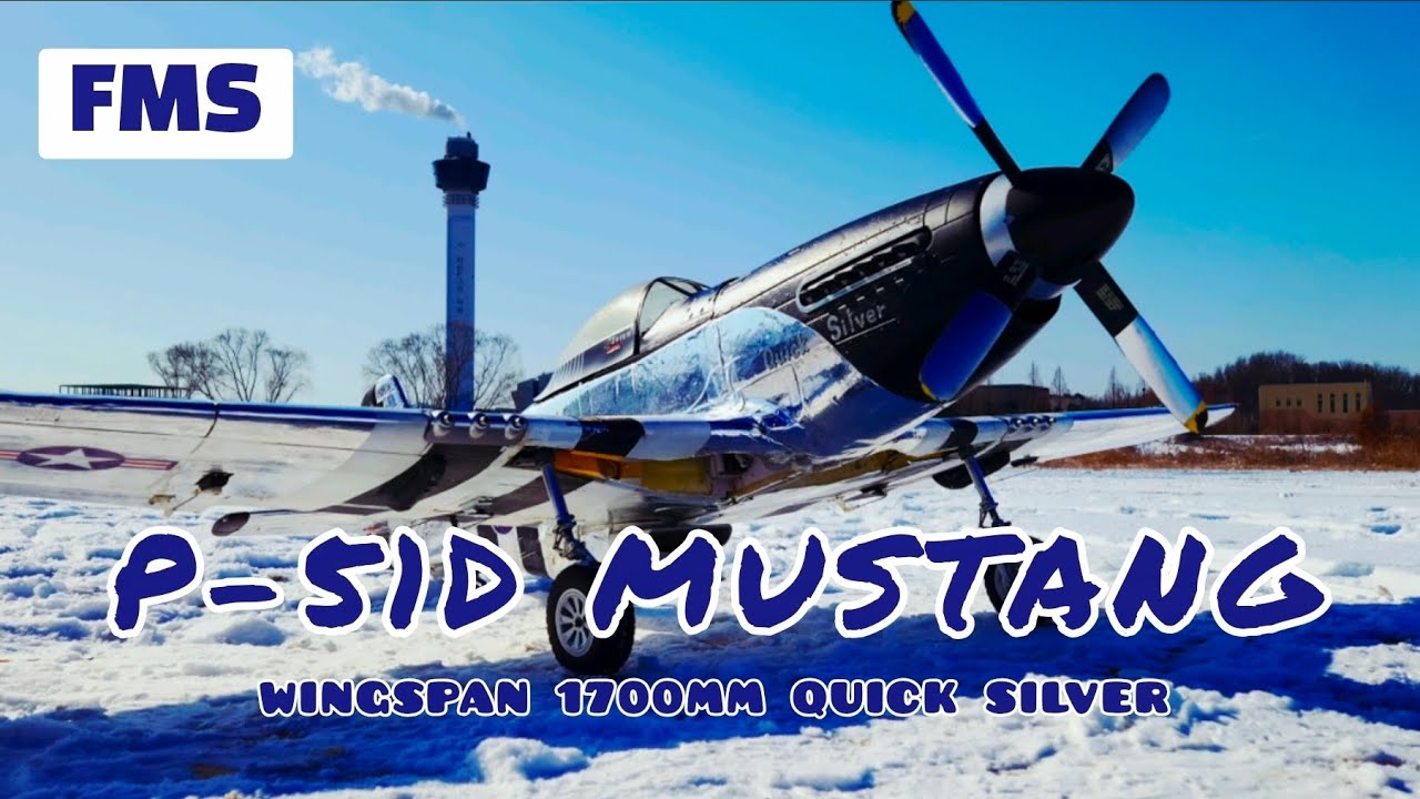 #rc비행기 #워버드의 꽃 #P-51D 무스탕 #윙스팬 1700mm #저공비행 #지상 30cm 로우패스 성공
