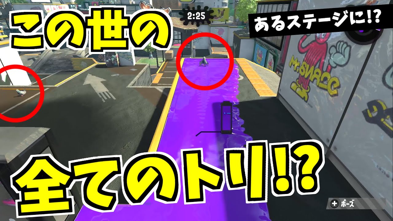 この世の全てのトリがいるステージを発見しました【スプラトゥーン2】【痛風はつらいよ】 スプラ小ネタ