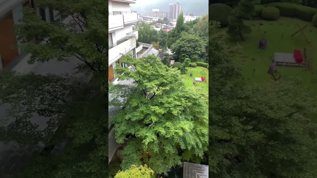 Beautiful Japanese Garden  