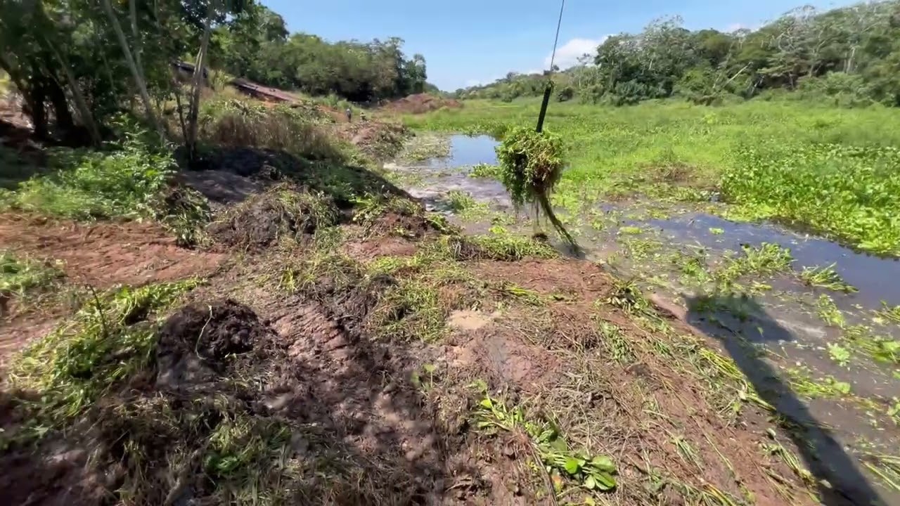 Escavadeira hidráulica realizando limpeza de rio com GANCHO ✅