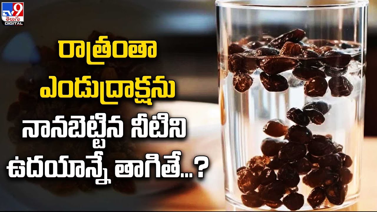 రాత్రంతా ఎండుద్రాక్షను నానబెట్టిన నీటిని ఉదయాన్నే తాగితే...? : @TV9TeluguDigital