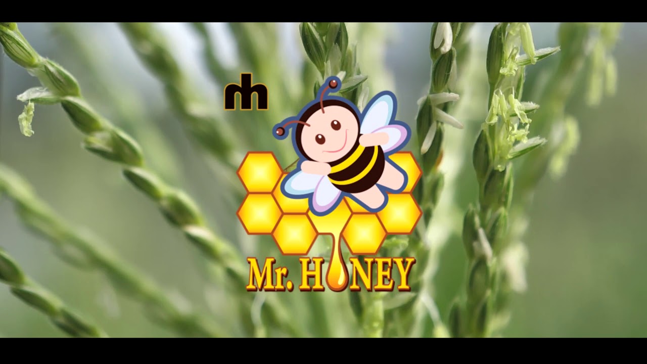 showreel video Special Promotion Videography Corporate Wedding Event Advertisement Video