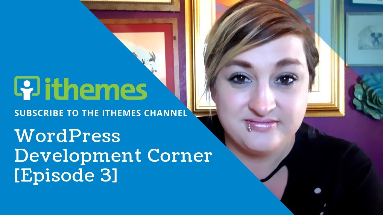 WordPress Development Corner [Episode 3]
