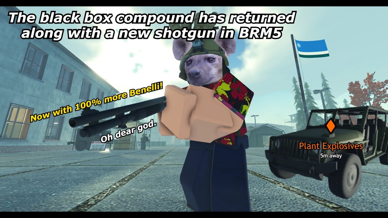 New compound and new shotgun in the most recent BRM5 update