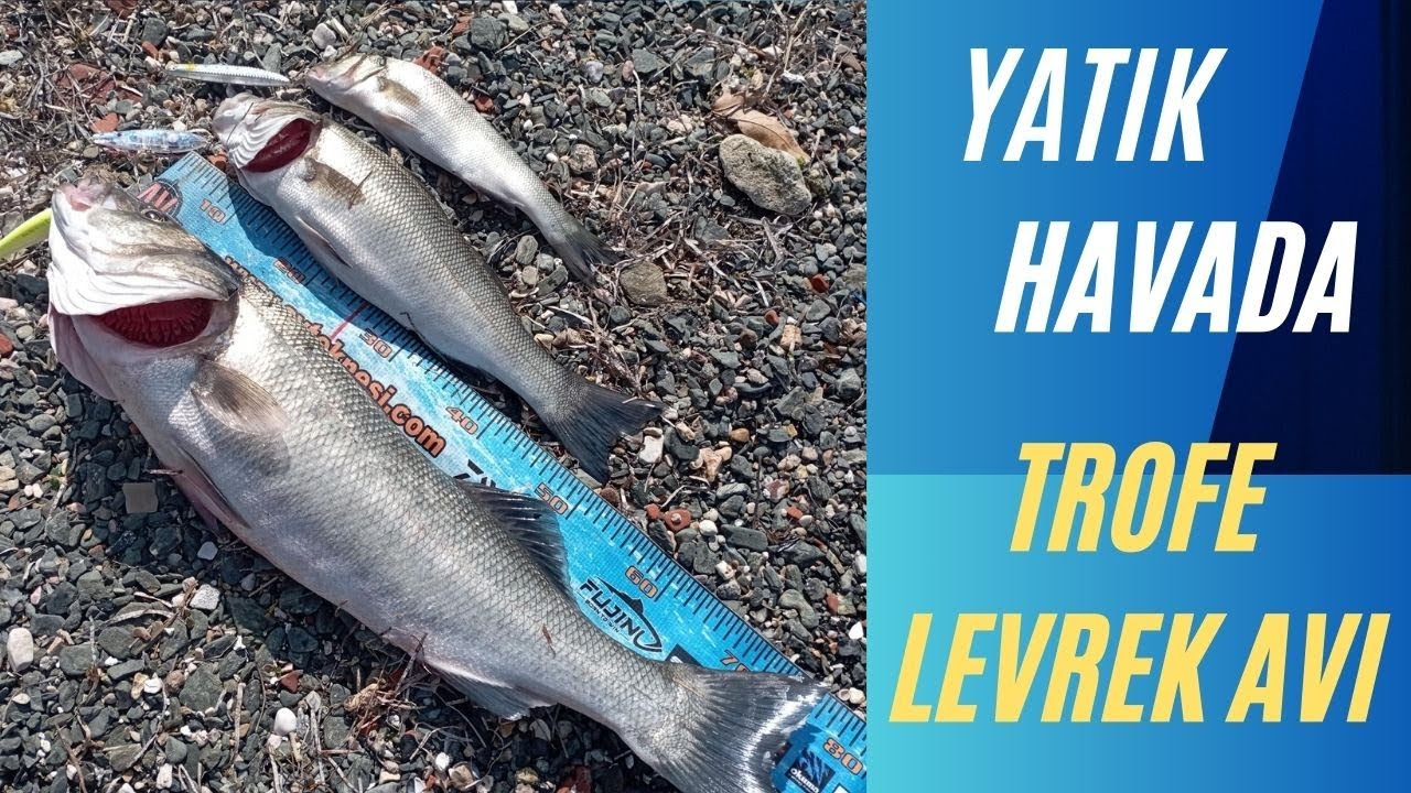 YATIK HAVADA TROFE LEVREK AVI - Dümdüz Suda Su Üstü Sahtelerle Av Keyfi